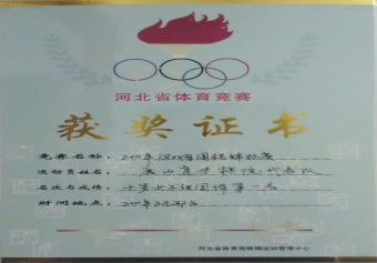2011年河北省围棋锦标赛